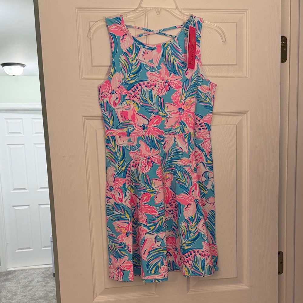 Lilly Pulitzer Pink and Blue Patterned Dress